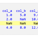 Pandas DataFrame で NaN 値を含む行を削除する方法 1