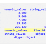 Pandas DataFrame で浮動小数点数を整数に変換する 1